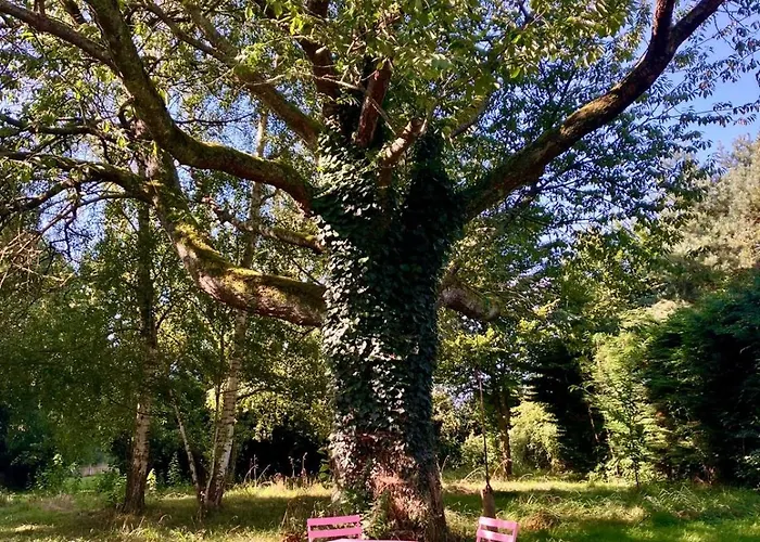 La Maison Normande 5 La Ferte-en-Ouche